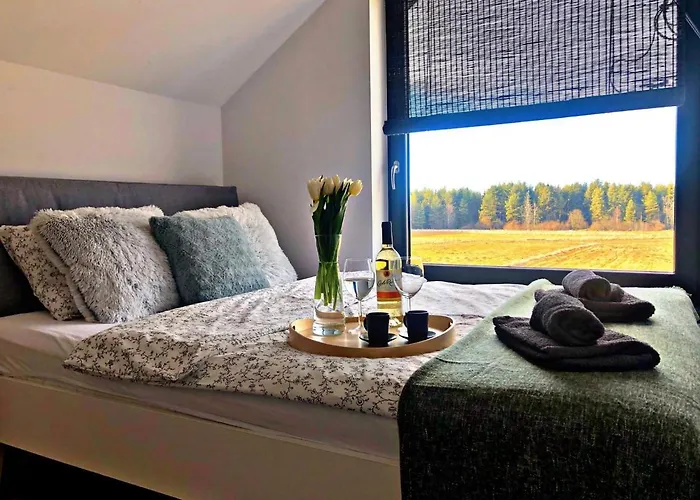 Dom wakacyjny Pod Lasem 66 *